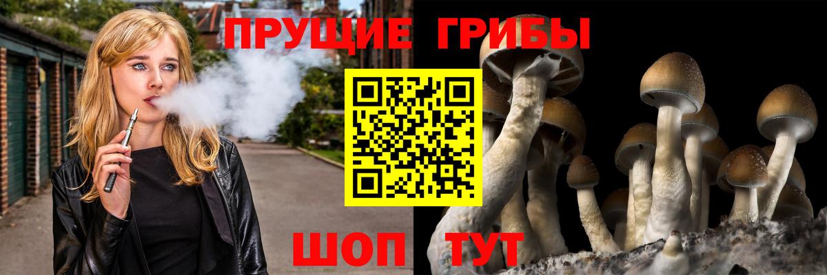 Дербент  Галлюциногенные грибы мицелий  Вход с VPN 
